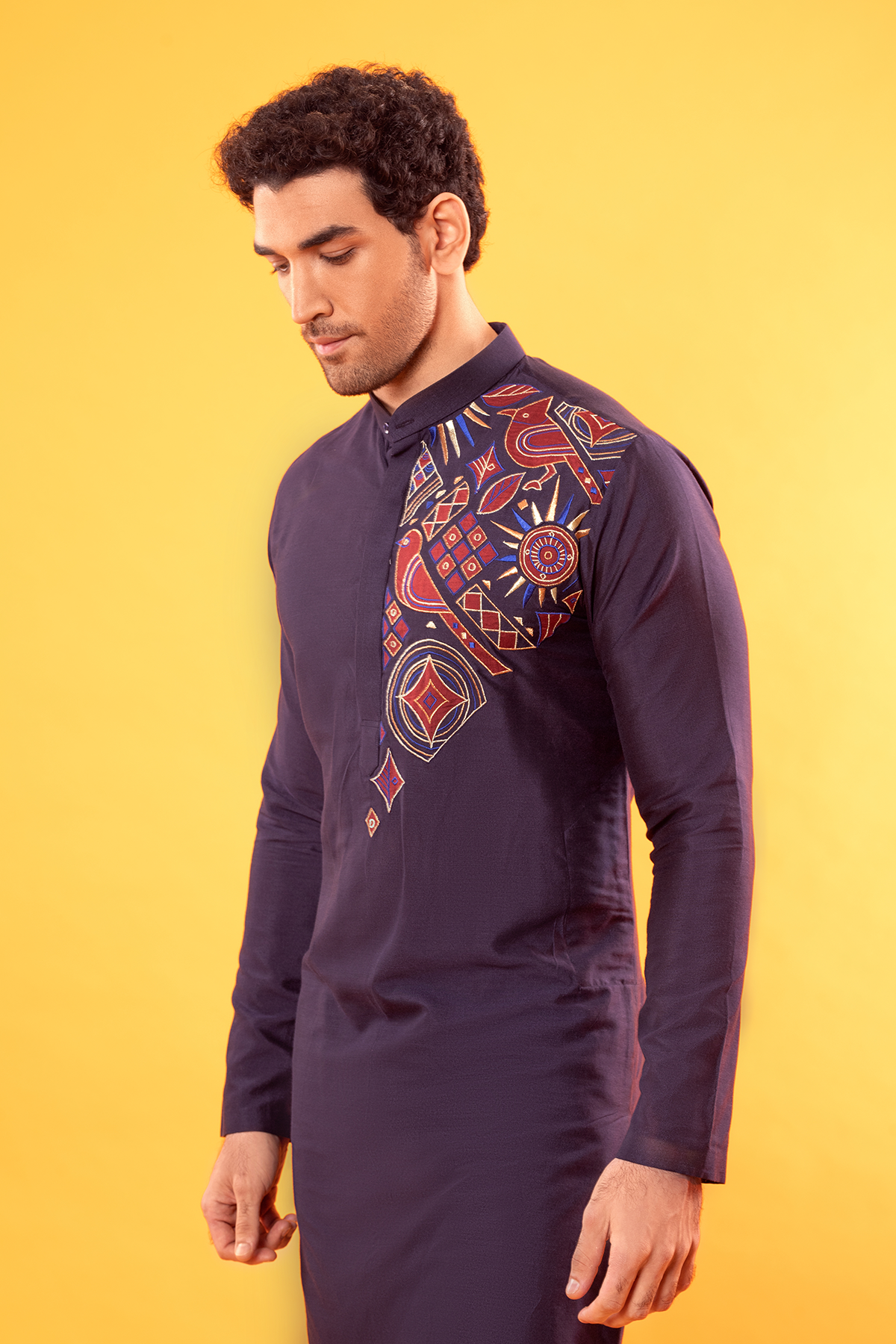 Navy Blue Multi Color Embroidered Kurta
