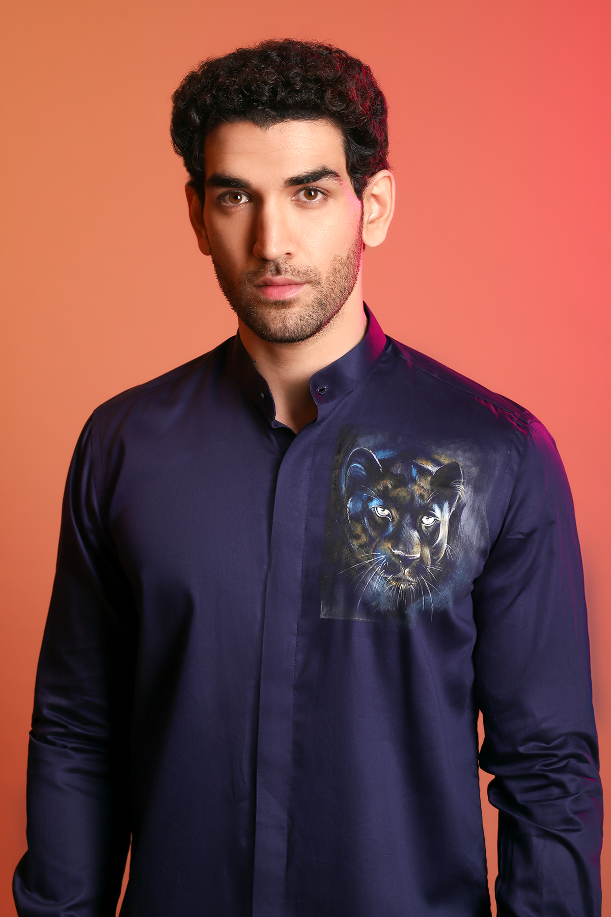 Jaguar shirts hot sale india