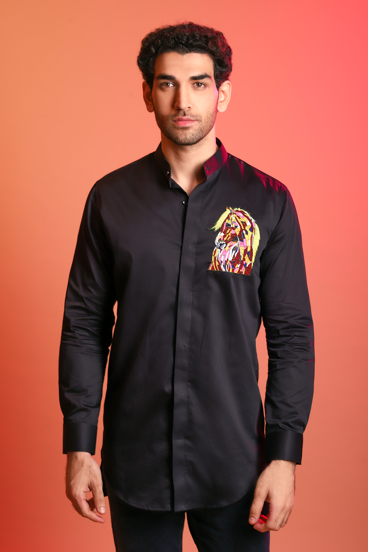 Black  With Multi Colour Hand Embroidered Horse Shirt